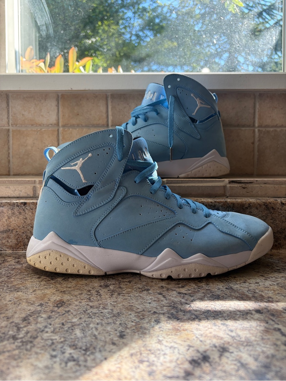Jordan 7 Pantone